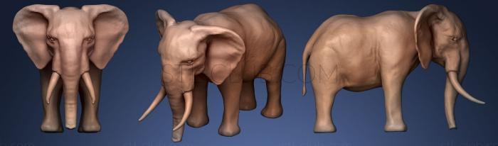 3D model African Elephant (STL)